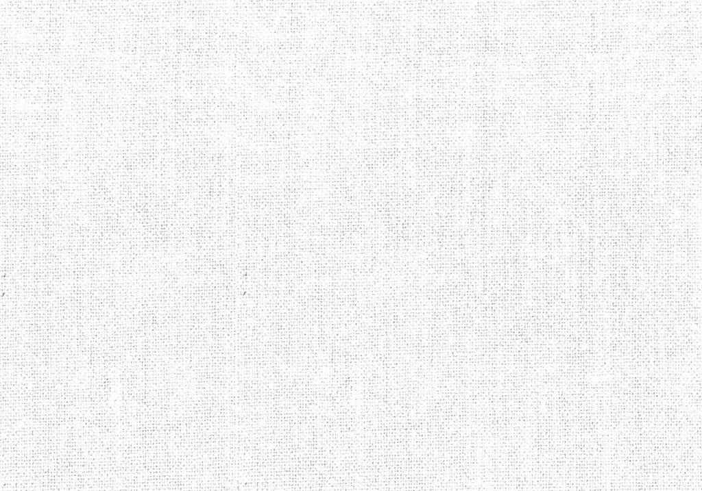 9025L - White - Sport Shirt