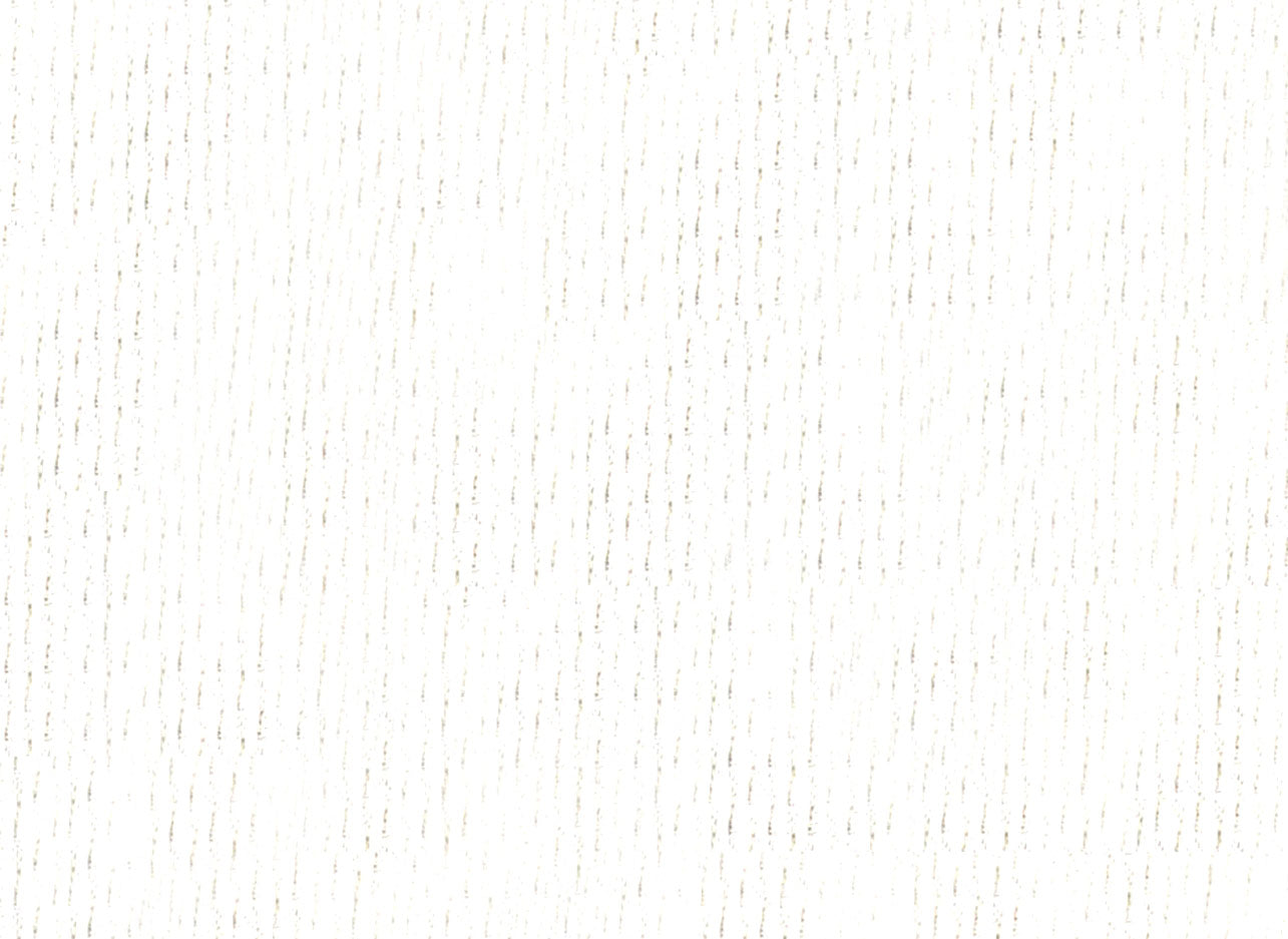 9160-814 - White - Dress Shirt